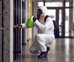 Best Mold Remediation for Healthcare Facilities  in Frankfort Square, IL