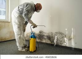 Best Mold Damage Restoration  in Frankfort Square, IL